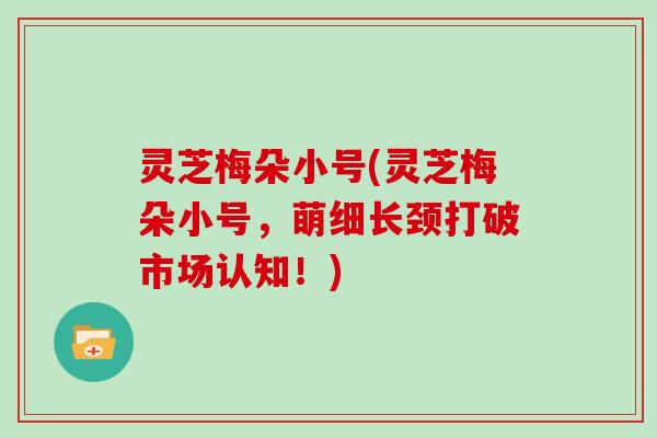 灵芝梅朵小号(灵芝梅朵小号，萌细长颈打破市场认知！)