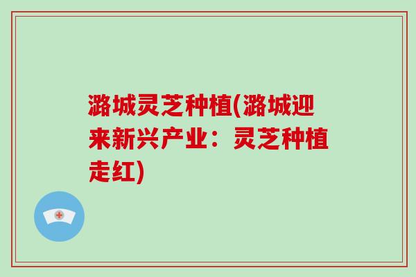 潞城灵芝种植(潞城迎来新兴产业:灵芝种植走红)