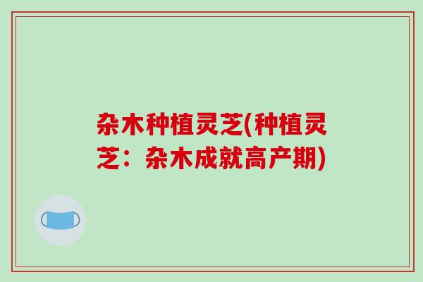 杂木种植灵芝(种植灵芝:杂木成就高产期)