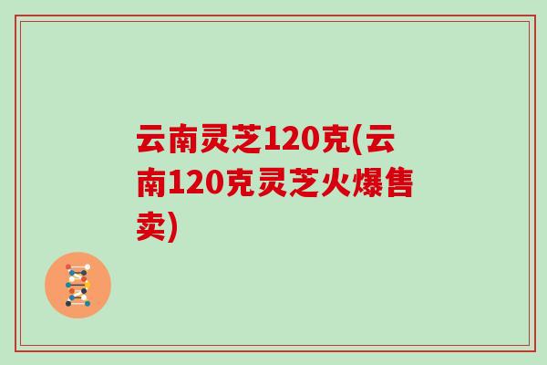 云南灵芝120克(云南120克灵芝火爆售卖)