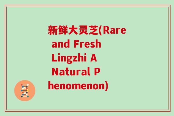 新鲜大灵芝(Rare and Fresh Lingzhi A Natural Phenomenon)