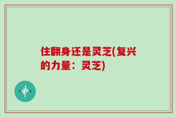 住翻身还是灵芝(复兴的力量:灵芝)