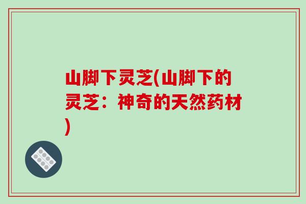 山脚下灵芝(山脚下的灵芝:神奇的天然药材)