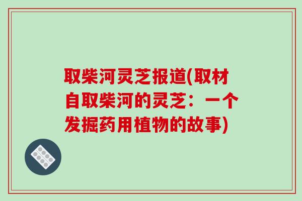 取柴河灵芝报道(取材自取柴河的灵芝：一个发掘药用植物的故事)