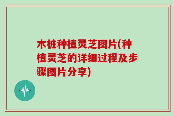 木桩种植灵芝图片(种植灵芝的详细过程及步骤图片分享)