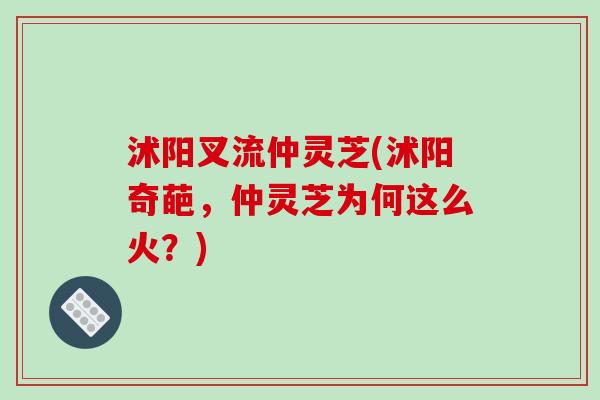 沭阳叉流仲灵芝(沭阳奇葩，仲灵芝为何这么火？)