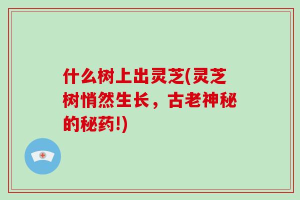 什么树上出灵芝(灵芝树悄然生长,古老神秘的秘药!)