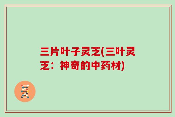 三片叶子灵芝(三叶灵芝:神奇的中药材)