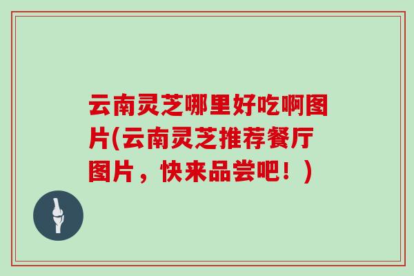 云南灵芝哪里好吃啊图片(云南灵芝推荐餐厅图片,快来品尝吧!)