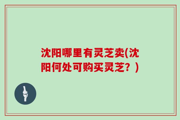 沈阳哪里有灵芝卖(沈阳何处可购买灵芝?)