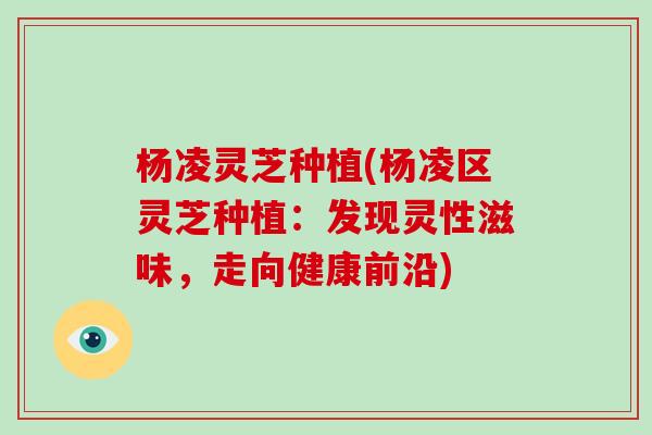 杨凌灵芝种植(杨凌区灵芝种植:发现灵性滋味,走向健康前沿)