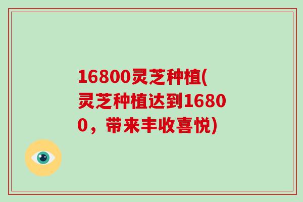 16800灵芝种植(灵芝种植达到16800,带来丰收喜悦)