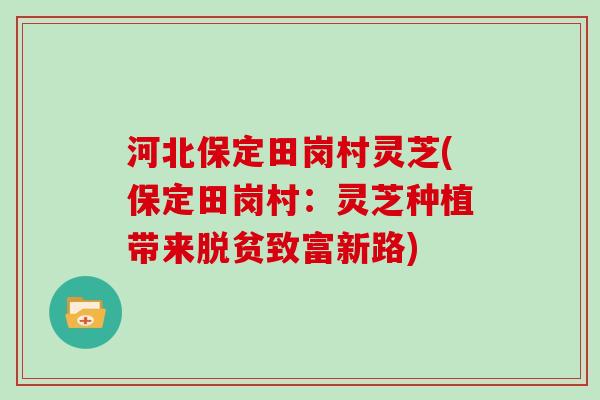 河北保定田岗村灵芝(保定田岗村:灵芝种植带来脱贫致富新路)