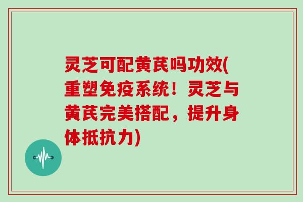 灵芝可配黄芪吗功效(重塑免疫系统!灵芝与黄芪完美搭配,提升身体抵抗力)
