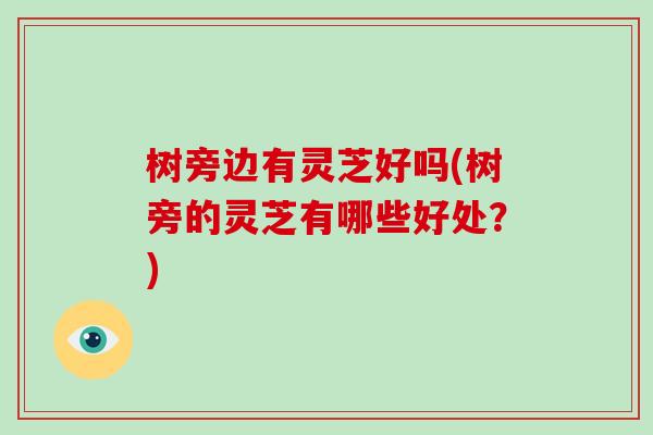 树旁边有灵芝好吗(树旁的灵芝有哪些好处？)