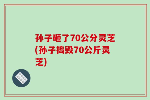 孙子砸了70公分灵芝(孙子捣毁70公斤灵芝)