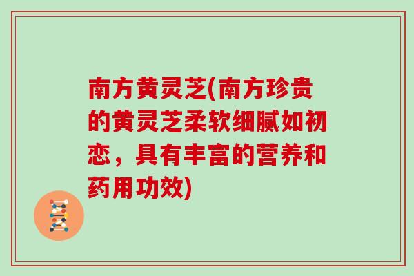 南方黄灵芝(南方珍贵的黄灵芝柔软细腻如初恋,具有丰富的营养和药用功效)