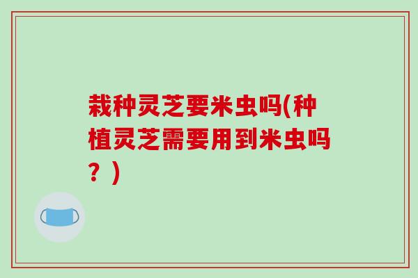 栽种灵芝要米虫吗(种植灵芝需要用到米虫吗?)