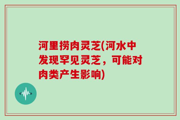 河里捞肉灵芝(河水中发现罕见灵芝,可能对肉类产生影响)