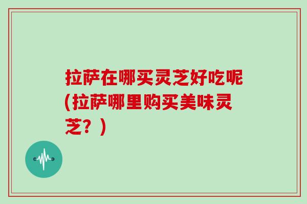 拉萨在哪买灵芝好吃呢(拉萨哪里购买美味灵芝?)