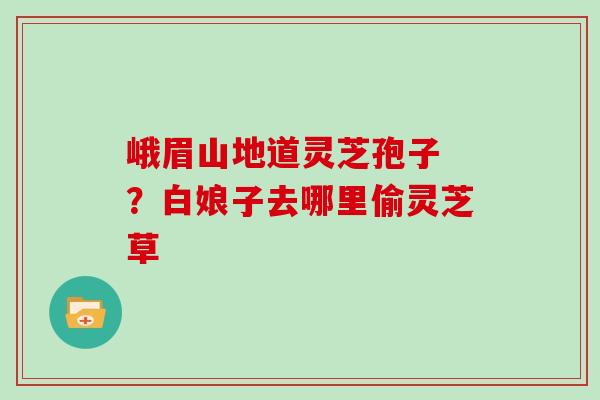 峨眉山地道灵芝孢子 ?白娘子去哪里偷灵芝草