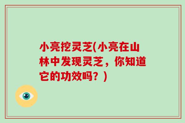小亮挖灵芝(小亮在山林中发现灵芝,你知道它的功效吗?)