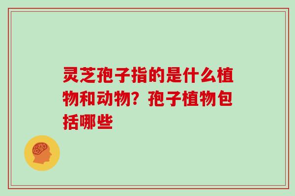 灵芝孢子指的是什么植物和动物?孢子植物包括哪些