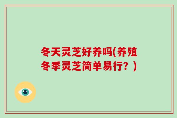 冬天灵芝好养吗(养殖冬季灵芝简单易行?)