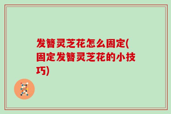 发簪灵芝花怎么固定(固定发簪灵芝花的小技巧)