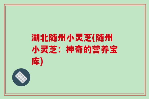 湖北随州小灵芝(随州小灵芝:神奇的营养宝库)