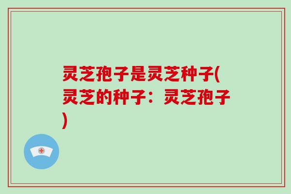 灵芝孢子是灵芝种子(灵芝的种子:灵芝孢子)
