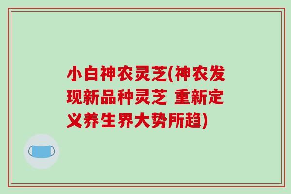 小白神农灵芝(神农发现新品种灵芝 重新定义养生界大势所趋)