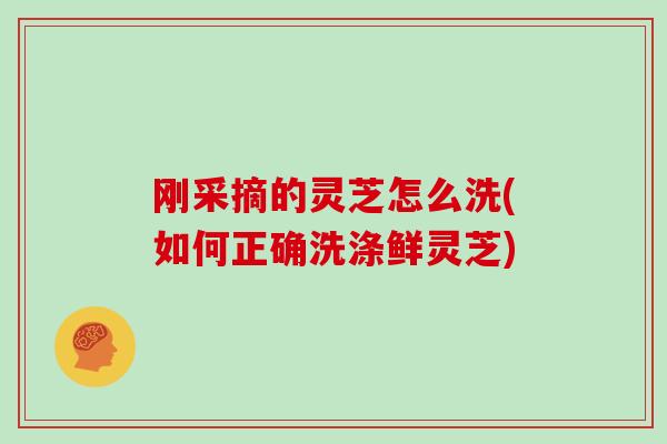 刚采摘的灵芝怎么洗(如何正确洗涤鲜灵芝)
