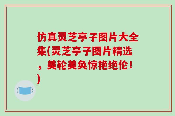 仿真灵芝亭子图片大全集(灵芝亭子图片精选，美轮美奂惊艳绝伦！)