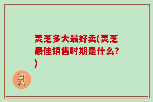 灵芝多大最好卖(灵芝最佳销售时期是什么?)