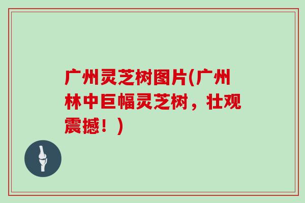 广州灵芝树图片(广州林中巨幅灵芝树,壮观震撼!)
