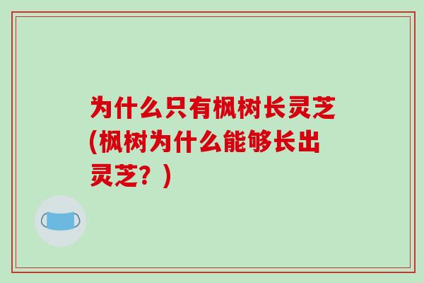 为什么只有枫树长灵芝(枫树为什么能够长出灵芝?)