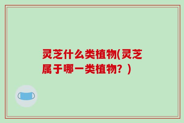 灵芝什么类植物(灵芝属于哪一类植物？)