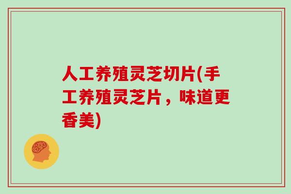 人工养殖灵芝切片(手工养殖灵芝片，味道更香美)