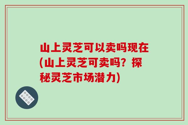 山上灵芝可以卖吗现在(山上灵芝可卖吗？探秘灵芝市场潜力)