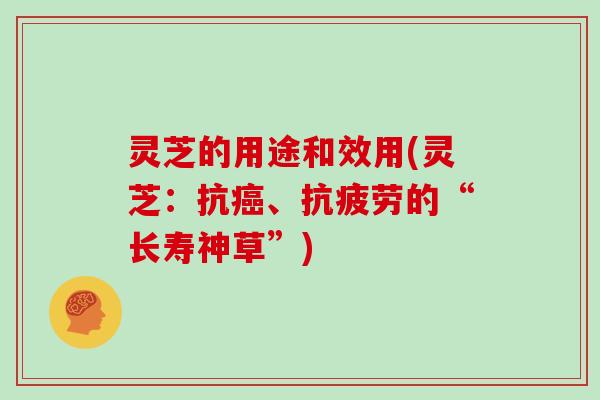 灵芝的用途和效用(灵芝：抗癌、抗疲劳的“长寿神草”)