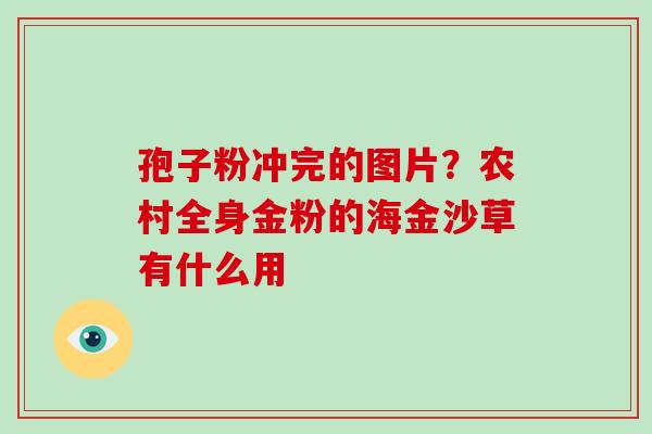 孢子粉冲完的图片?农村全身金粉的海金沙草有什么用