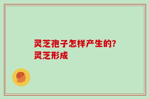 灵芝孢子怎样产生的?灵芝形成