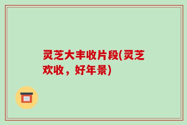 灵芝大丰收片段(灵芝欢收,好年景)