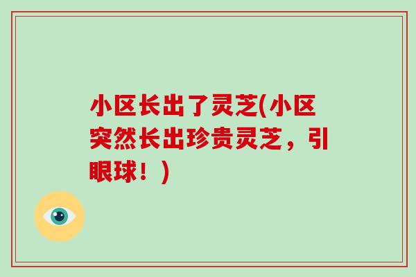 小区长出了灵芝(小区突然长出珍贵灵芝,引眼球!)