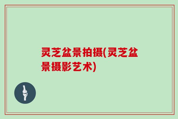 灵芝盆景拍摄(灵芝盆景摄影艺术)