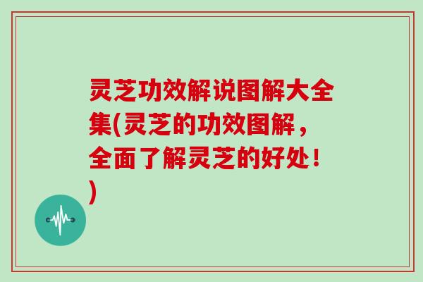 灵芝功效解说图解大全集(灵芝的功效图解,全面了解灵芝的好处!)