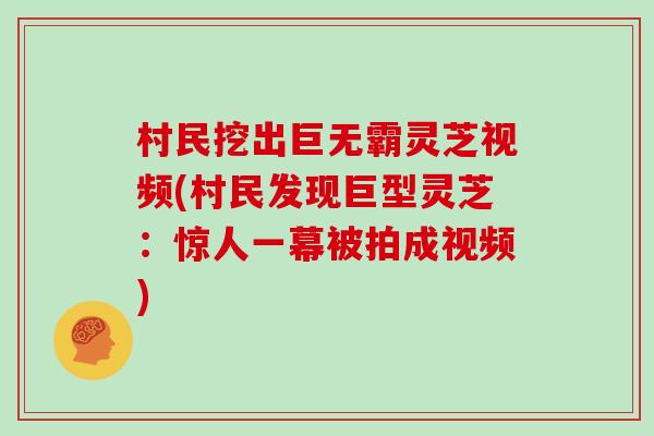 村民挖出巨无霸灵芝视频(村民发现巨型灵芝:惊人一幕被拍成视频)