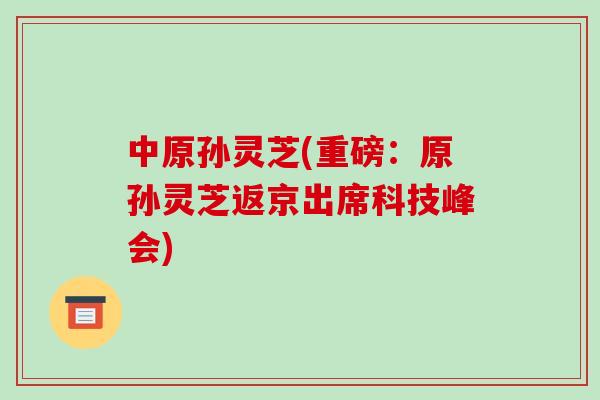 中原孙灵芝(重磅:原孙灵芝返京出席科技峰会)
