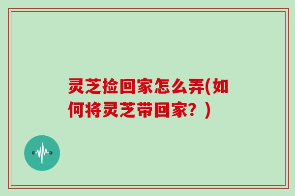 灵芝捡回家怎么弄(如何将灵芝带回家?)